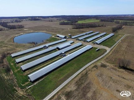 Timberland Property in Webster County, Kentucky