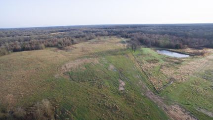 Timberland Property in Hopkins County, Texas