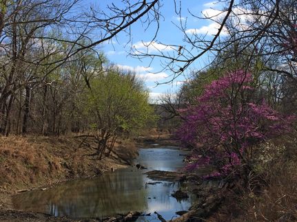 Recreational Property in McIntosh County, Oklahoma