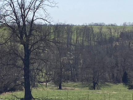 Recreational Property in Texas County, Missouri