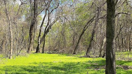 Farm and Ranch in Titus County, Texas