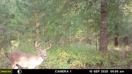 Recreational Property in Dodge County, Georgia