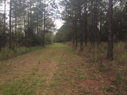 Farm and Ranch in Webster County, Georgia