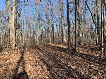 Timberland Property in Scioto County, Ohio