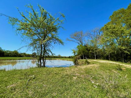 Hunting Property in Falls County, Texas