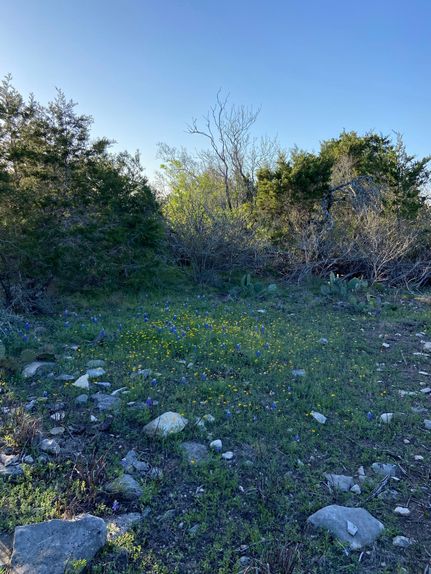 Timberland Property in Kinney County, Texas