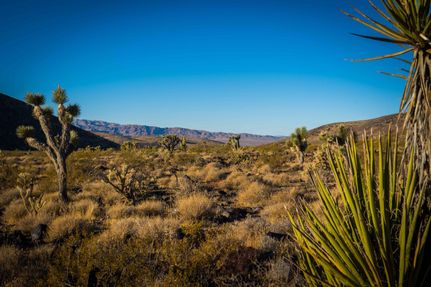 Farm and Ranch in Mohave County, Arizona