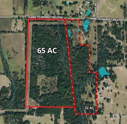 Hunting Property in Henderson County, Texas