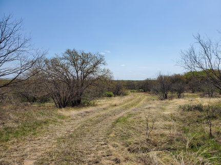 Farm and Ranch in Comanche County, Texas