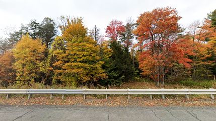 Undeveloped Land in Berkshire County, Massachusetts