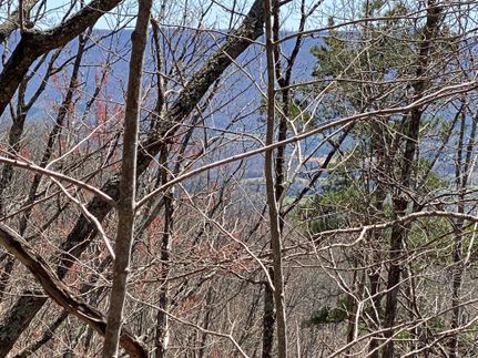 Undeveloped Land in Bledsoe County, Tennessee