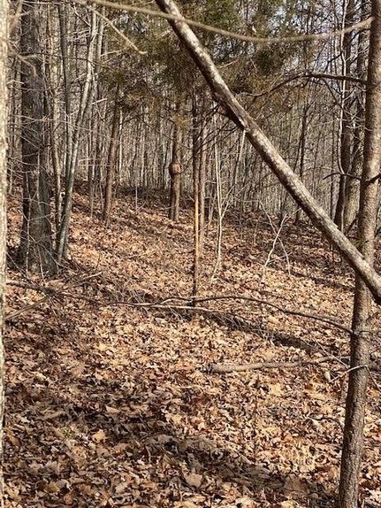 Timberland Property in Bledsoe County, Tennessee