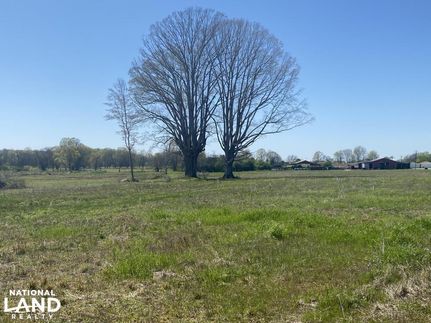 Undeveloped Land in Lauderdale County, Alabama