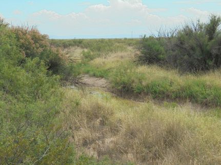 Undeveloped Land in Reeves County, Texas