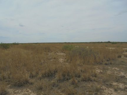 Undeveloped Land in Reeves County, Texas
