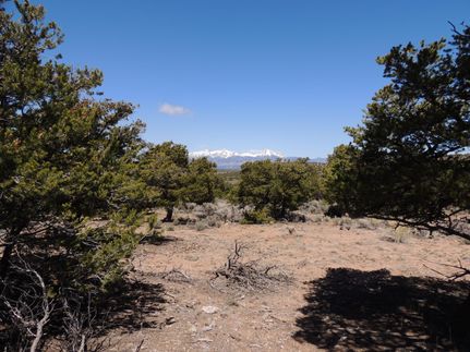 Farm and Ranch in Costilla County, Colorado