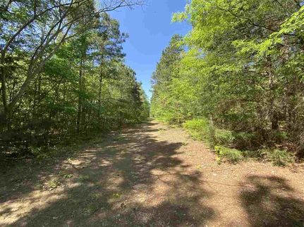 Undeveloped Land in Upshur County, Texas