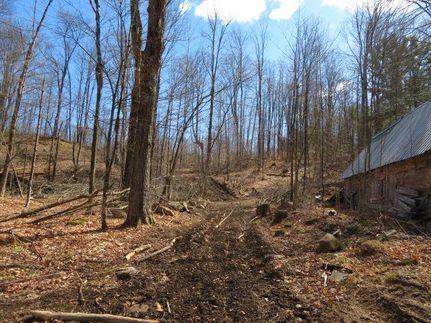 Land in Saint Lawrence County, New York