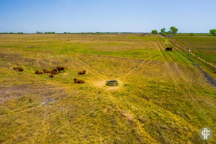 Timberland Property in Live Oak County, Texas