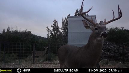 Farm and Ranch in Edwards County, Texas