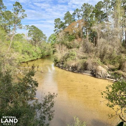 Timberland Property in Baldwin County, Alabama