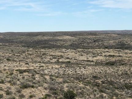 Farm and Ranch in Terrell County, Texas