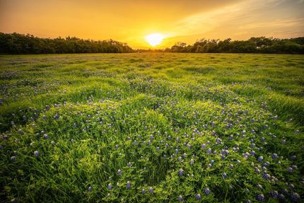 Recreational Property in Navarro County, Texas