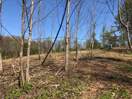 Farm and Ranch in Grainger County, Tennessee