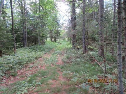 Land in Marquette County, Michigan
