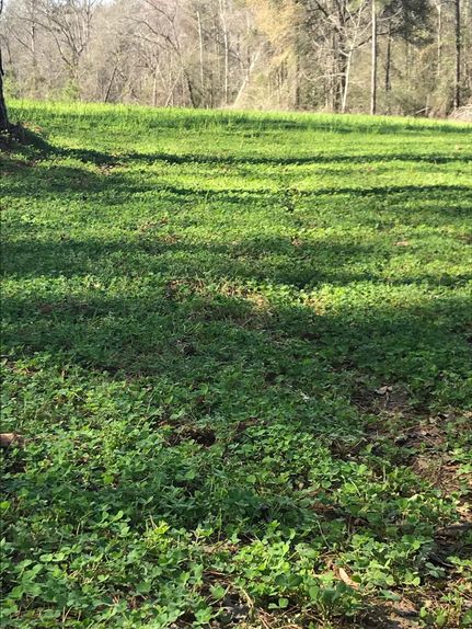 Undeveloped Land in Autauga County, Alabama