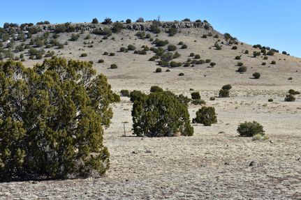 Land in Catron County, New Mexico