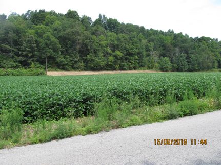 Farm and Ranch in Lewis County, Kentucky