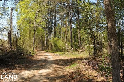 Land in Marlboro County, South Carolina