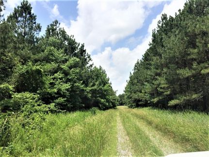 Hunting Property in Crittenden County, Kentucky