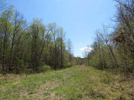 Land in Crittenden County, Kentucky