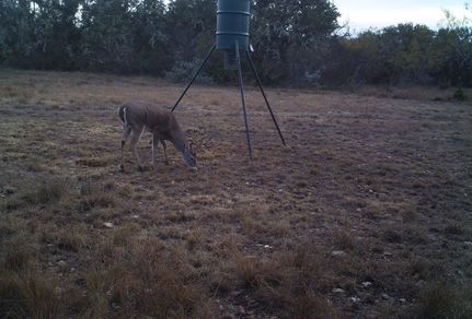 Hunting Property in Edwards County, Texas