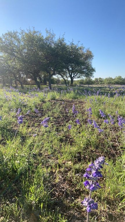 Farm and Ranch in Kimble County, Texas