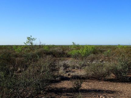 Farm and Ranch in Terrell County, Texas