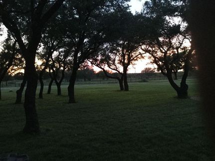 Hunting Property in Eastland County, Texas