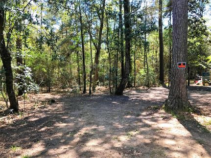 Hunting Property in Tyler County, Texas