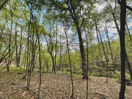 Timberland Property in Stokes County, North Carolina