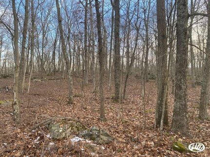 Undeveloped Land in Wayne County, Pennsylvania