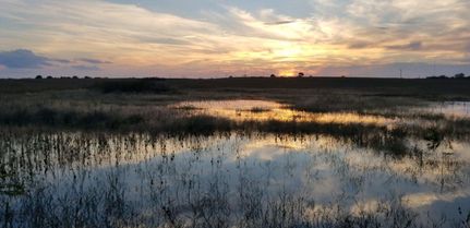 Farm and Ranch in Fulton County, Illinois
