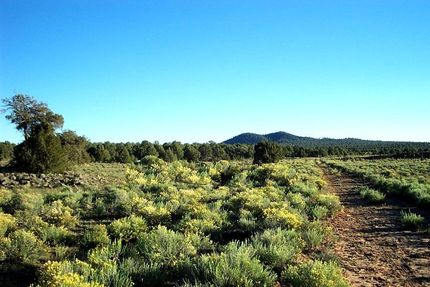 Land in Cibola County, New Mexico