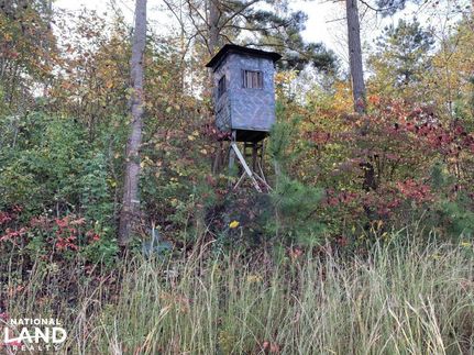 Hunting Property in McMinn County, Tennessee