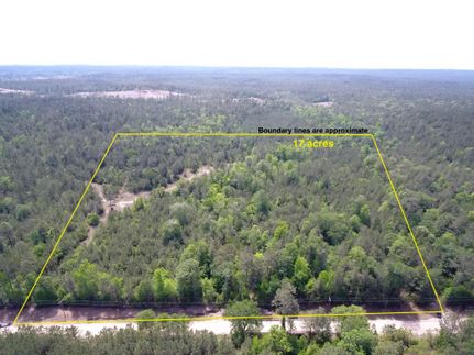 Farm and Ranch in Tyler County, Texas