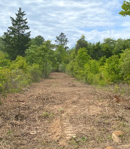 Timberland Property in Marion County, Texas