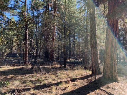 Land in Klamath County, Oregon