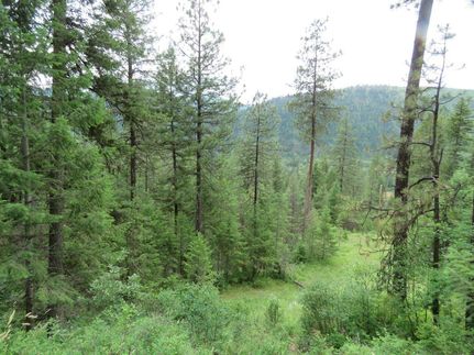 Timberland Property in Lincoln County, Montana