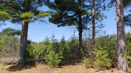Farm and Ranch in Oneida County, Wisconsin
